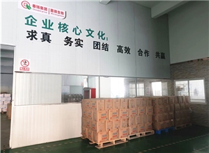環境展示